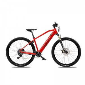 Bicicleta electrica Econic One Cross-Country